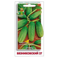Семена Огурец Вязниковский 37 (Поиск)