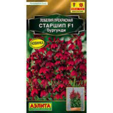 Семена Лобелия Старшип F1  бургунди 5 шт (Аэлита)