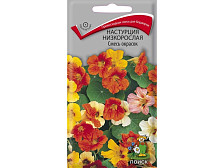 Семена Настурция низкорослая Смесь окрасок (Поиск)