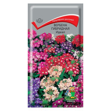 Семена Вербена гибридная Идеал (Поиск)