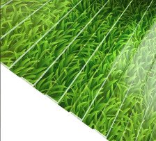 Профнастил (Эконом) С8 0,35х1200х2000 Трава