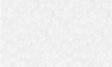 Обои Раджа фон 01 С50 Саратов (1,06х10,05) (6)