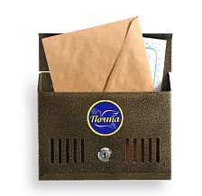 Ящик почтовый с замком Мини 3324578 горизонтальный бронза