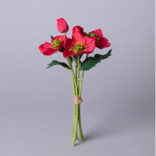 Букет Геллеборус 31см 287-519