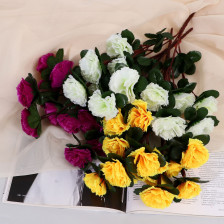 Букет Гвоздика Тереза 4х33см, микс 9913398