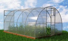 Теплица Урожайная 3м х 6м (каркас 25х25, дуга через 65см)  + сотовый поликарбонат