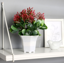 Бонсай в горшке "Сенполия галант" 14х23см, микс 9222725