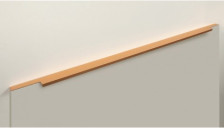 Ручка торцевая RT109SG 900мм золото 