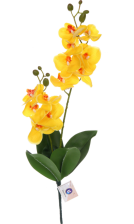 Ветка Орхидея Natur 55см желтая 993-0587