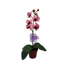 Зажим для орхидеи d5см h5см