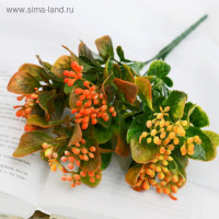 Букет с плодами 25 см микс 2803105