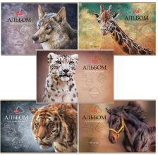 Альбом для рисования 48 л А4 HATBER Дикий мир