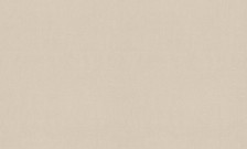 Обои 50284 Style Walls 1,06x10 (6)