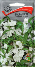 Семена Бальзамин Том Самб белый (Поиск)