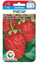 Семена Земляника (клубника) Тристар крупноплодовая 10 шт (Сиб сад)