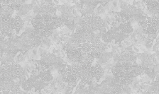 Обои 287737 Ateliero Selena 1.06x10 (6)
