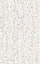 Панель пластиковая 611/1 (0,25х2,7) (10)