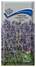 Семена Лаванда узколистная Прованс (Поиск)