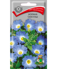 Семена Нолана Синяя птица (Поиск)