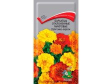 Семена Бархатцы отклонен махров Петит Смесь окрасок (Поиск)