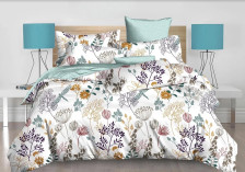 КПБ поплин CL Home Pure cotton 217-PC/CL 50х70+70х70, Дуэт