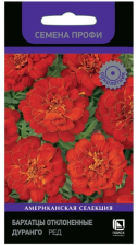 Семена Бархатцы отклоненные Дуранго Ред (Поиск)