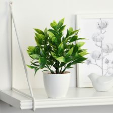 Бонсай в горшке "Людвигия галант" 7,5х18см, микс 9789747