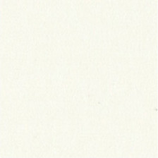 Столешница Троя (3,0х0,6х0,038) 0003 mika Белая мика