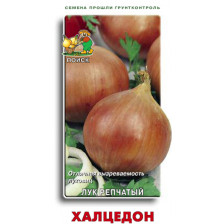 Семена Лук репчатый Халцедон (Поиск)