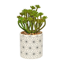 Эониум искусственный в кашпо Д88 Ш88 В167 зеленый