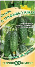 Семена Огурец Три волны F1 10шт (Гавриш) Семена Огурец Три волны F1 10шт (Гавриш)