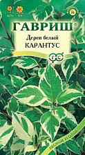 Семена Дерен Карантус белый 0,1гр (Гавриш)