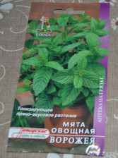 Семена Мята овощная Ворожея (А) (Поиск)