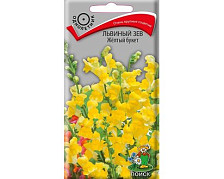 Семена Львиный зев Желтый букет (Поиск)