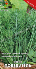 Семена Укроп Победитель (А) (Поиск)