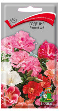 Семена Годеция Летний рай (Поиск)
