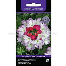 Семена Вербена Обсешн Твистер Ред (Поиск)