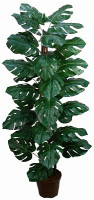 Дерево иск  Монстера Дели 160см (ГрСт)