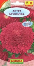 Семена Астра Брусничка (Аэлита)