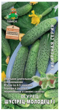 Семена Огурец Шустрец-молодец F1 (сибирская серия) (А) (Поиск)