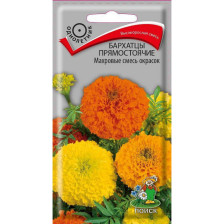 Семена Бархатцы прямостоячие махров Смесь окрасок (Поиск)
