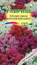 Семена Лобулярия Королевский ковер 0,05г серия Сад ароматов (Гавриш)