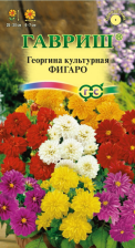 Семена Георгина Фигаро 0,3г (Гавриш)