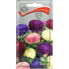 Семена Астра Балун Микс (Поиск)