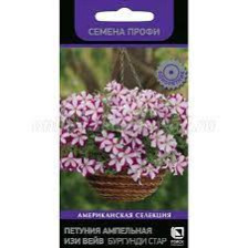 Семена Петуния ампельная Изи Вейв Бургунди Стар F1 (Поиск)