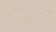 Обои 55008-14 Style Walls 1,06x10 (6)