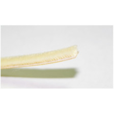 Шлегель 7х6мм молочно-белый