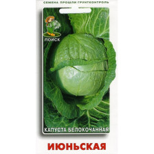 Семена Капуста б/к Июньская (Поиск)