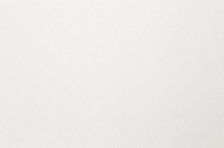 Обои HC11040-21 HomeColor Adore 0,53х10 (16)