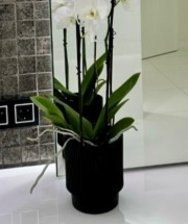 Кашпо Elsa d17 h19см 3,94л черный